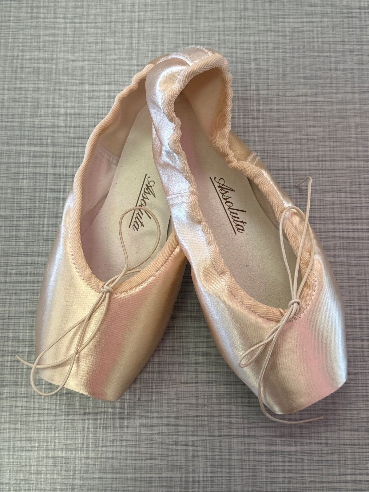 Nikolay Assoluta Pointe Shoe #547
